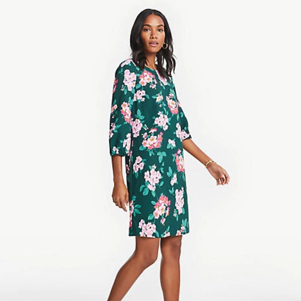 NWT Ann Taylor Floral Lantern Sleeve Shift Dress